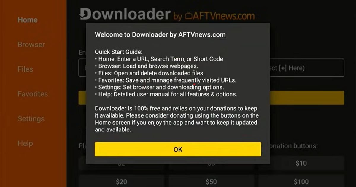 Downloader app welcome screen and Quick Start Guide pop-up on FireStick.